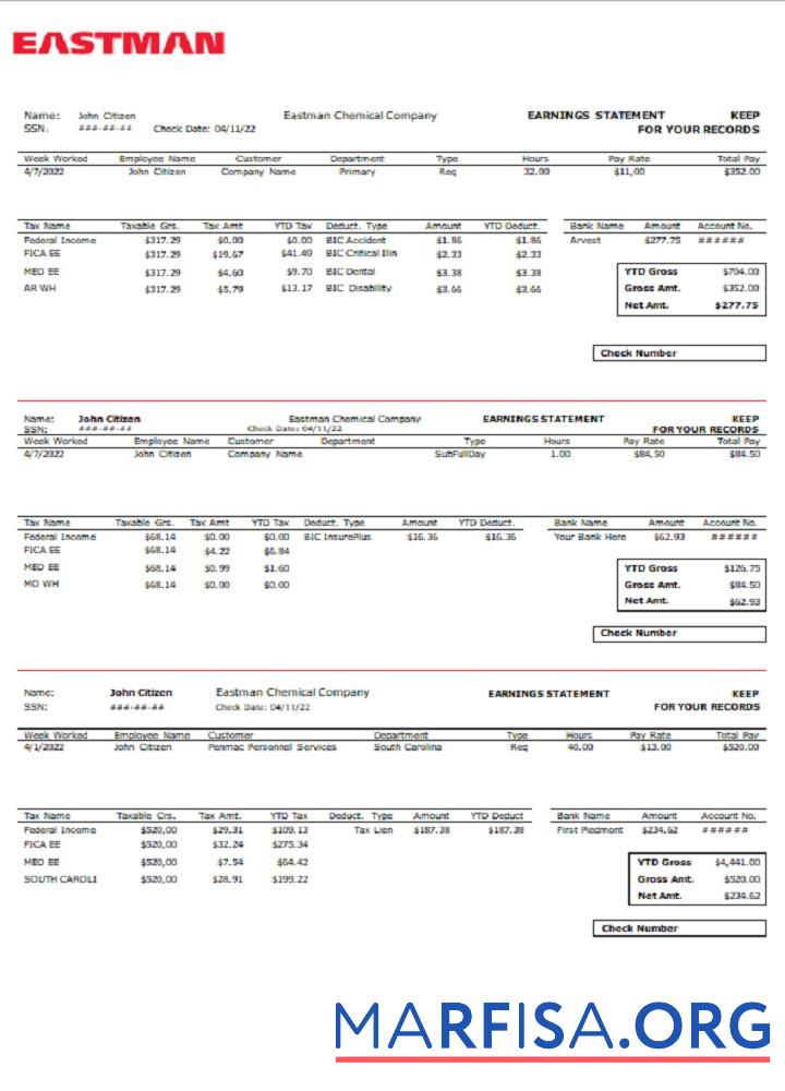 Downloadable USA chemical industry earning statement real example